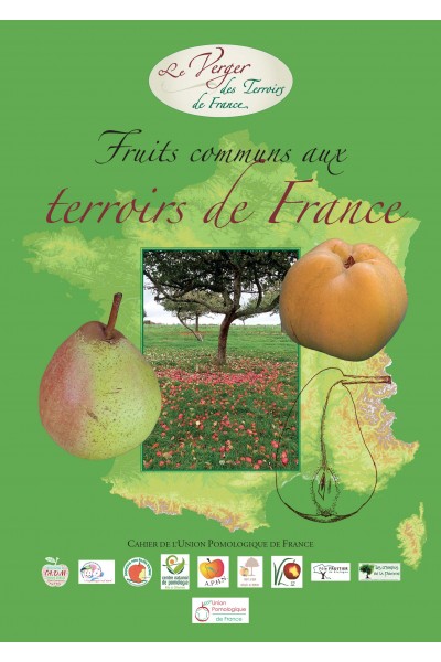 Fruits communs aux terroirs de France
