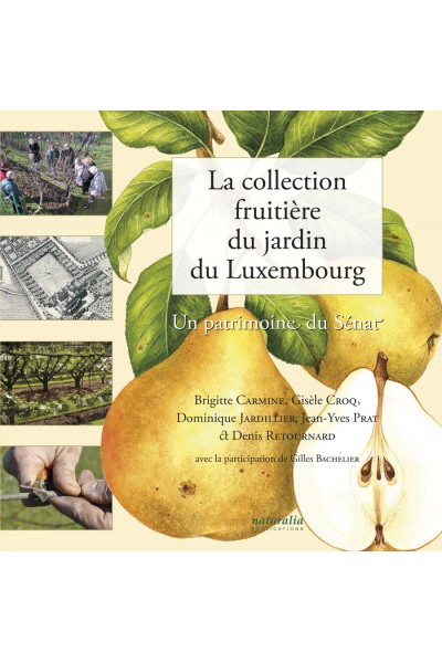 La collection fruitière du jardin du Luxembourg La collection fruitière du jardin du Luxembourg