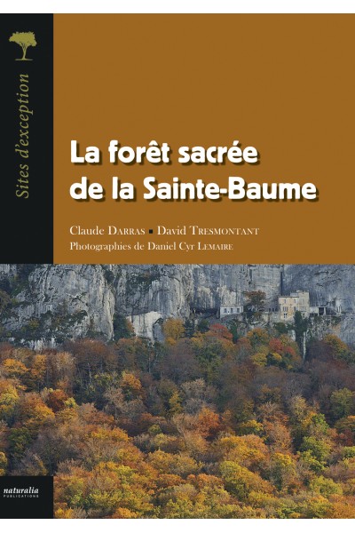 La forêt sacrée de la Sainte-Baume La forêt sacrée de la Sainte-Baume